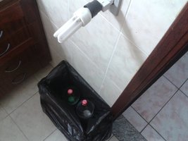 terrários b.jpg