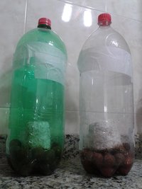 terrários a.jpg