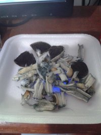 20151214_232534.jpg