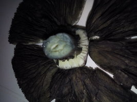 20151214_202140.jpg