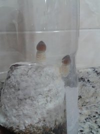 20151219_180459.jpg