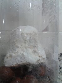 20151219_180427.jpg