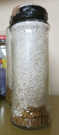 IMG_6783.JPG