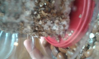 20151221_122739.jpg