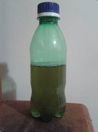 chá feito hoje.jpg