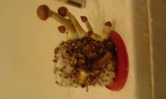 20151225_235734.jpg