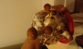 20151225_235706.jpg