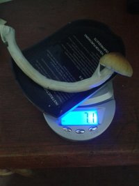 20151225_045845.jpg