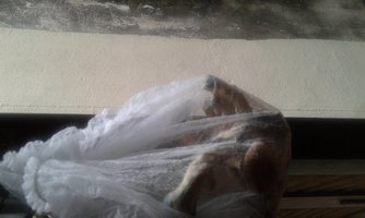 20151227_190736.jpg