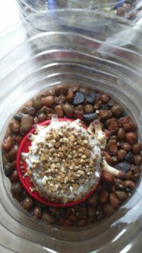 IMG-20160106-WA0007.jpg