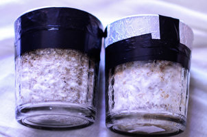CG-1Cult-JAN2016-3.jpg