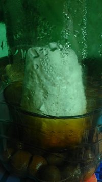 DSC_0344.JPG