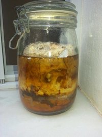 anexo (1).jpg