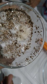 IMG_20160117_221309599.jpg