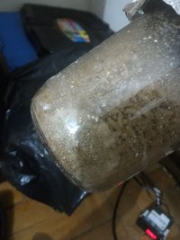 P_20160120_202150_1_p.jpg