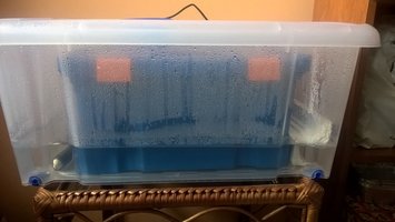 WP_20160122_10_27_54_Pro.jpg
