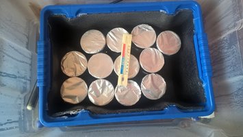 WP_20160122_10_28_27_Pro.jpg