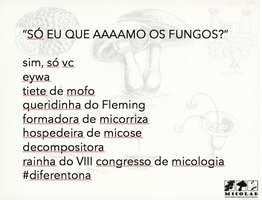 FB_IMG_1453339690571.jpg