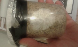 20160123_020800.jpg