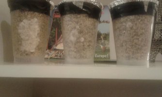 20160123_020639.jpg