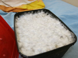 IMG_6973.JPG