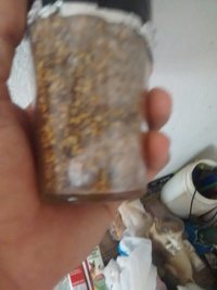 IMG_20160125_150358350.jpg