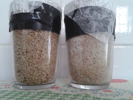 20160127_144934.jpg