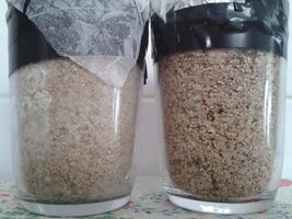 20160127_144955.jpg