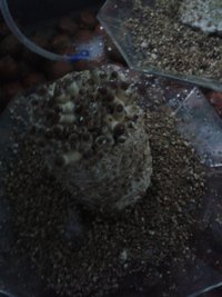 20160119_200212.jpg
