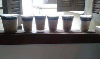 20160128_133427.jpg