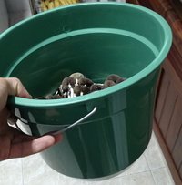 IMG-20160128-WA0031.jpeg