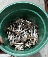 IMG-20160128-WA0033.jpeg