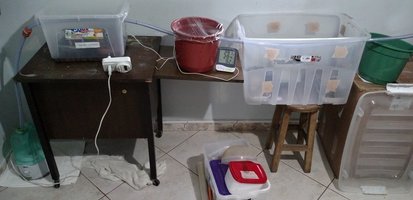 IMG_20160128_153844527.jpg
