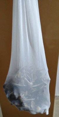 IMG_20160128_160234348.jpg