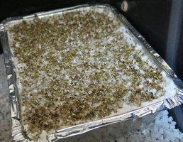 IMG_6997.JPG