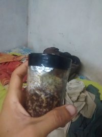 IMG_20160130_180600230.jpg