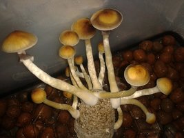20160202_210719.jpg