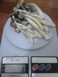 20160202_211040.jpg