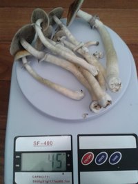 20160203_173840.jpg