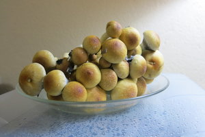 IMG_7056.JPG
