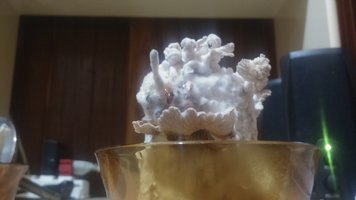 DSC_0416.JPG