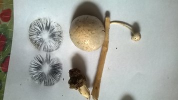 WP_20160208_030.jpg