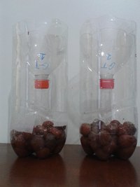 04 - terrários preparados para os bolos.jpg