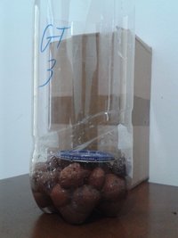 GT3 - preparado para receber o bolo GT #1 .jpg