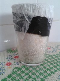contaminação 74a - parte ainda com contaminante dominando.jpg