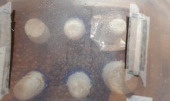 20160215_172326.jpg