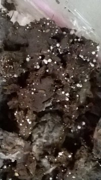 WP_20160213_002.jpg
