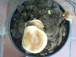 2012..jpg