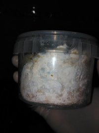 IMG_20160218_004238.jpg