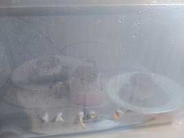 IMG_20160218_014209.jpg